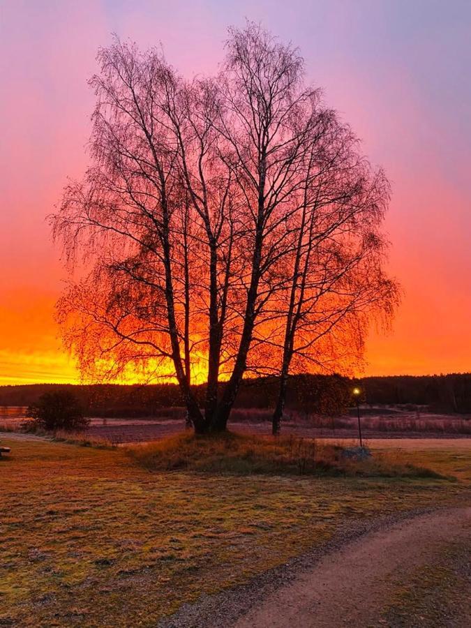 Aelvstalodges Jättendal Exterior foto